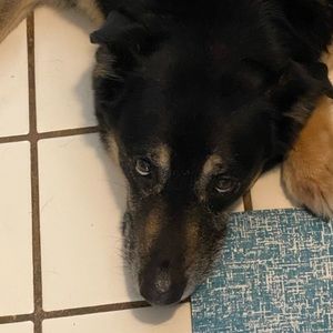 Meet your Posher, Drew